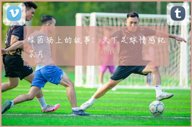 绿茵场上的故事：天下足球情感纪录片